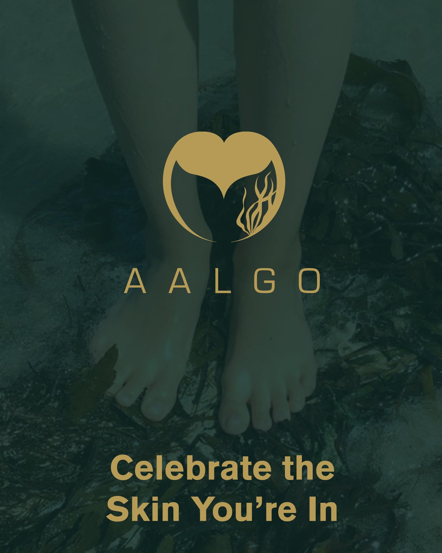 AALGO Seaweed Powder - Aalgo Skincare Organic Seaweed Sourced from Nutrient-Rich Atlantic Ocean - Gives Comfort from Skin Issues with Regular Use - Deeply Hydrates & Nourishes the Skin - 600 g