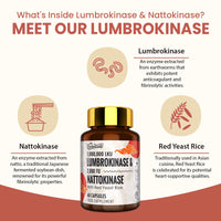 Veenuule Lumbrokinase Supplement 100mg │ Maximum Activity - 1,000,000 LKU │ Lumbrokinase Capsules with Nattokinase 100mg 2000 FU for Blood Circulation and Cardiovascular Health, 60 Capsules