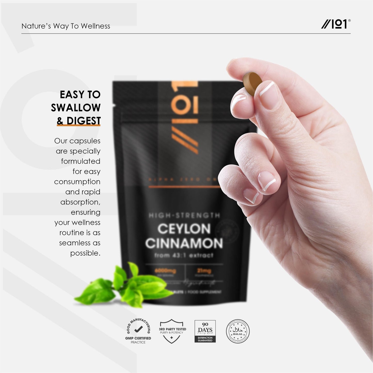 ALPHA01 Cinnamon Extract 6000mg - Standardised 15% Polyphenols from 43:1 Cinnamon Extract - 180 Vegan Tablets (6 Months Supply) – Resealable and Recyclable Pouch by Alpha01