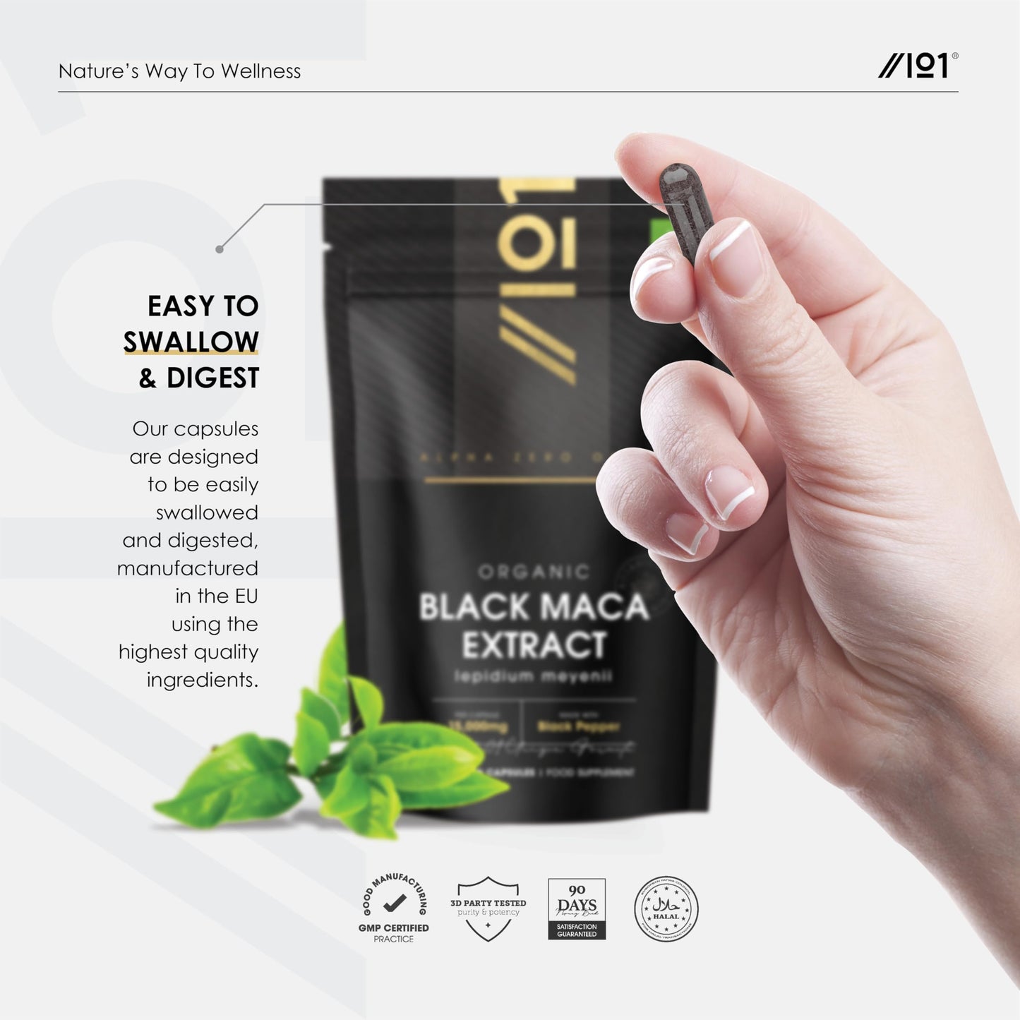 ALPHA01 Organic Black Maca Extract 15,000mg with Black Pepper - 90 Vegan Capsules (3 Months Supply) – High Strength 30:1 Black Maca Extract - Resealable and Recyclable Pouch – by Alpha01