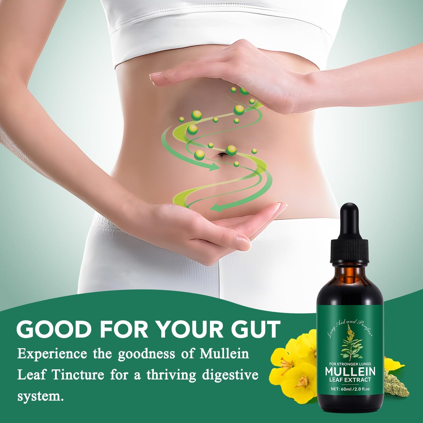 Tamiodfo Mullein Leaf Liquid Drops,Mullein Drops,Mullein Leaf Extract Drops,Mullein Herbal Supplements Drops for Fast Absorption 60ml(2pcs)