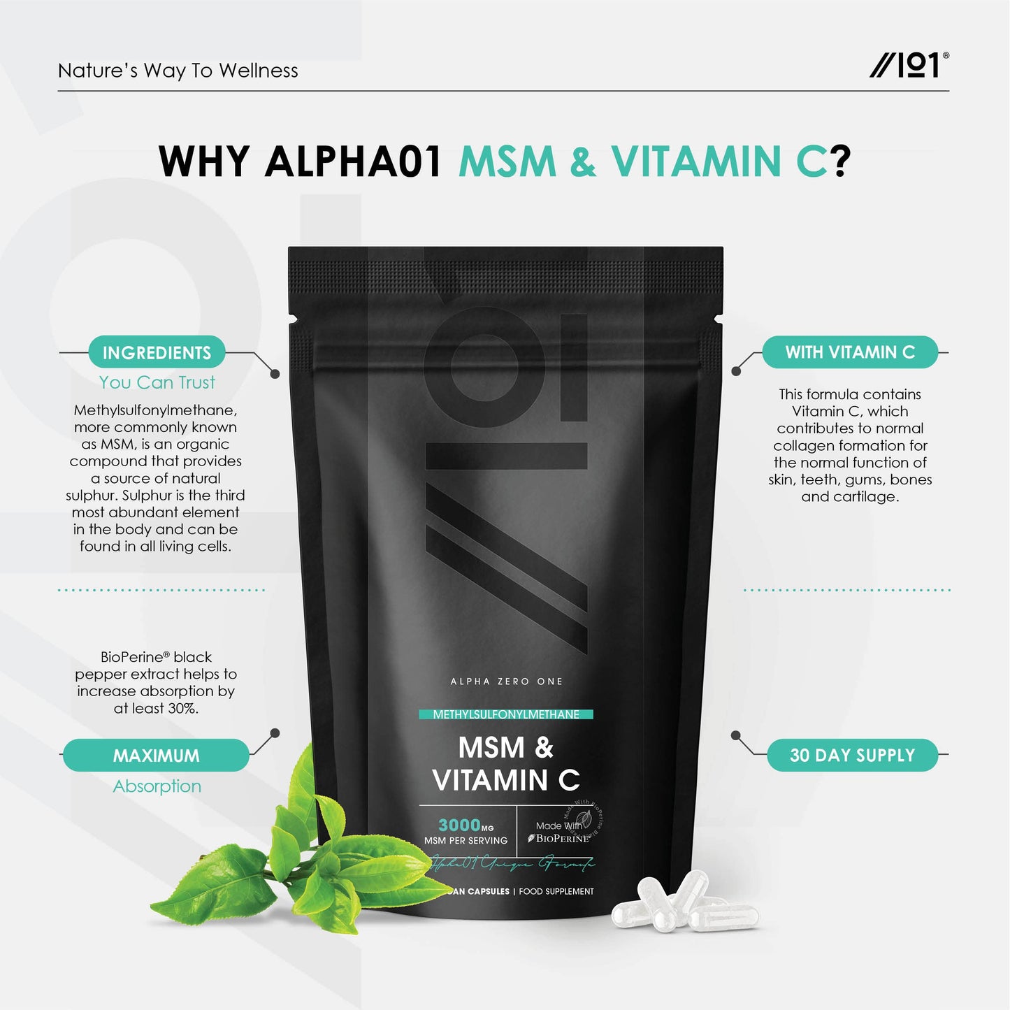 MSM 3000mg with Vitamin C & BioPerine® - Supports Collagen Formation – for Healthy Skin - High Potency Methylsulfonylmethane – Non GMO, Gluten Free, Halal – 120 Vegan Capsules