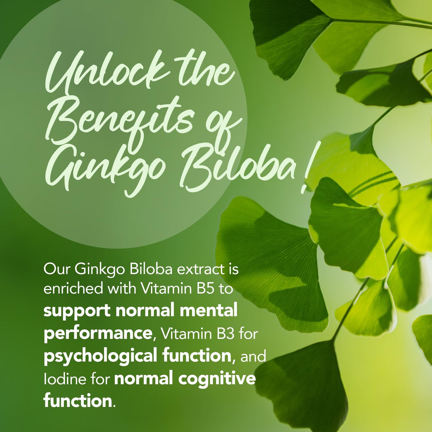 Zipvit Ginkgo Biloba 6000mg & Siberian Ginseng 600mg with Vitamins B3 & B5 Pouch, 120 Vegan Tablets, Supports Energy & Mental Performance, 4 Month Supply