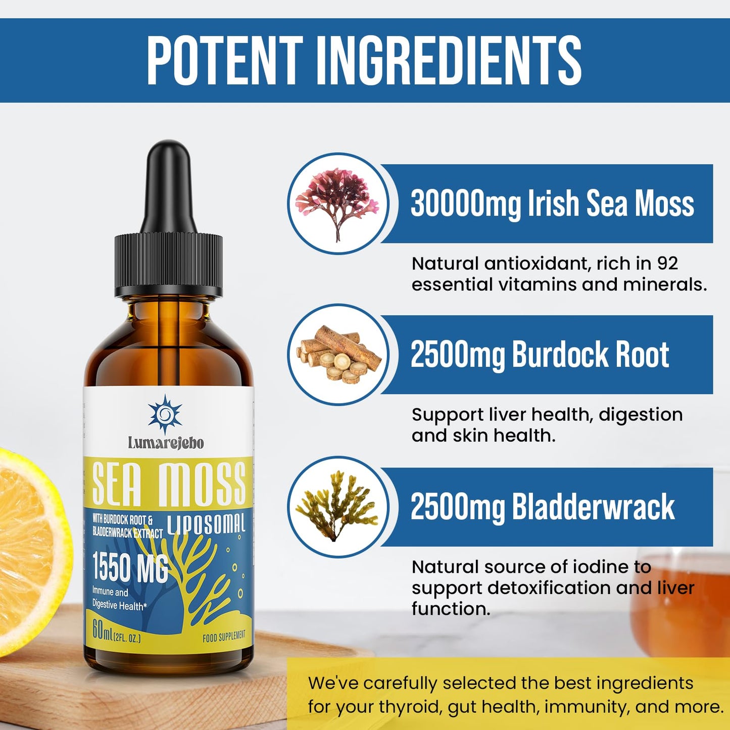 Lumarejebo Liposomal Irish Sea Moss Drops 1550MG, with Burdock Root and Bladderwrack Extract, 4X Stronger Than Pills & Gel, Support Gut & Immune Health (Pack of 3)