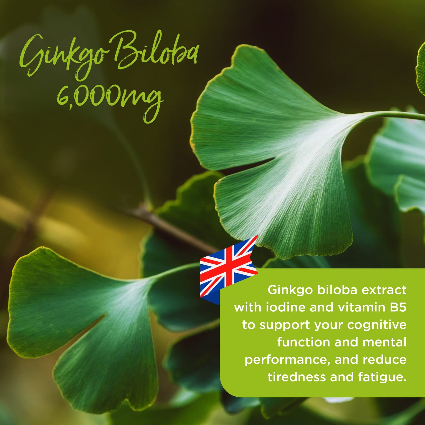 healthspan Healthspan Ginkgo Biloba 6,000mg | High Strength | 180 Tablets | Iodine | Vitamin B5 | Flavone Glycosides | Vegan
