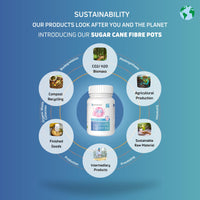 Healthmarque Collagen Complex | Collagen + Hyaluronic Acid + Vitamin C + Vitamin E | Tablets