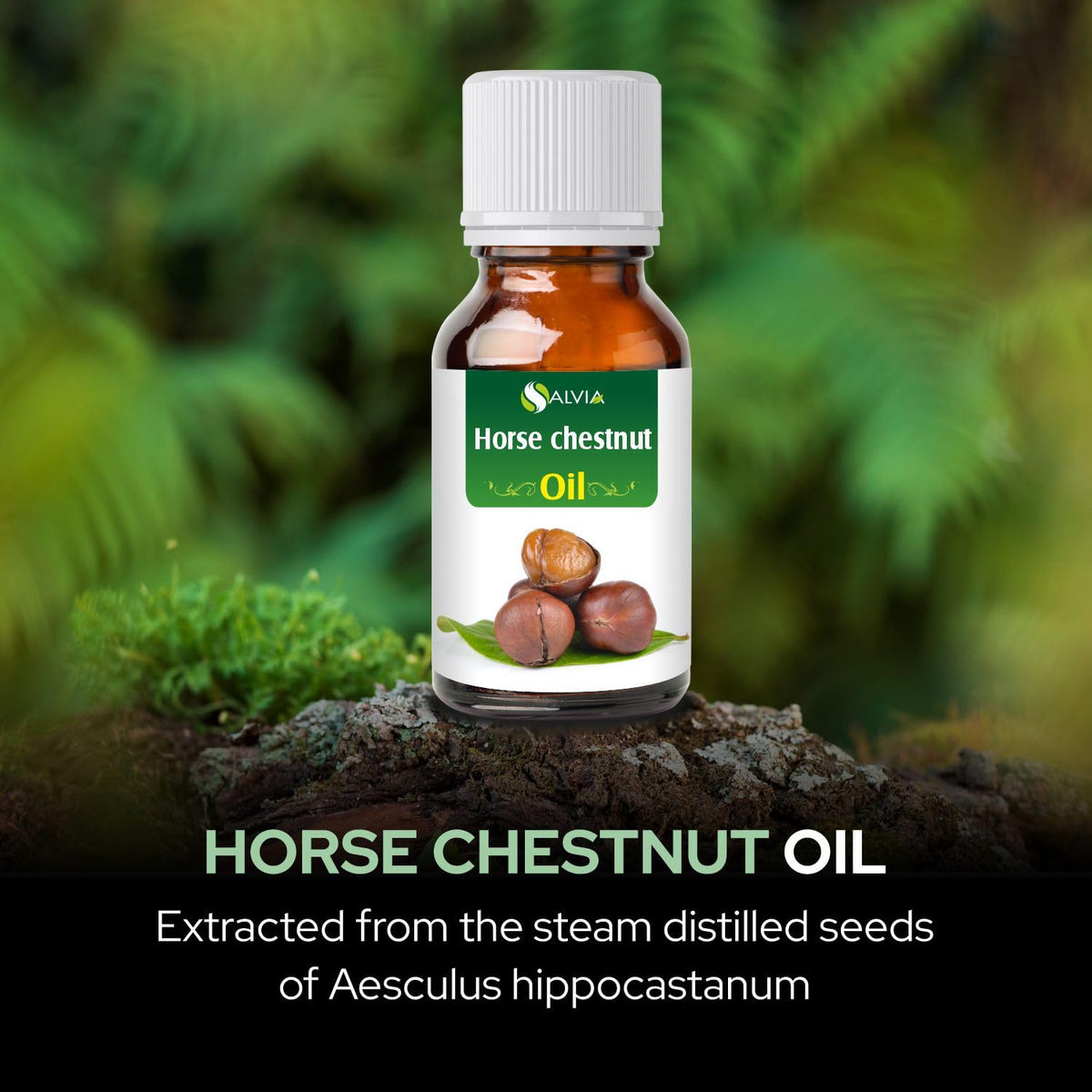 SALVIA Horse Chestnut Oil Pure and Natural Oil | Firm Skin, Skin Hydration, Skin Toning, Cosmetic Grade, Hair Care, and DIY Purpose - 15 ML