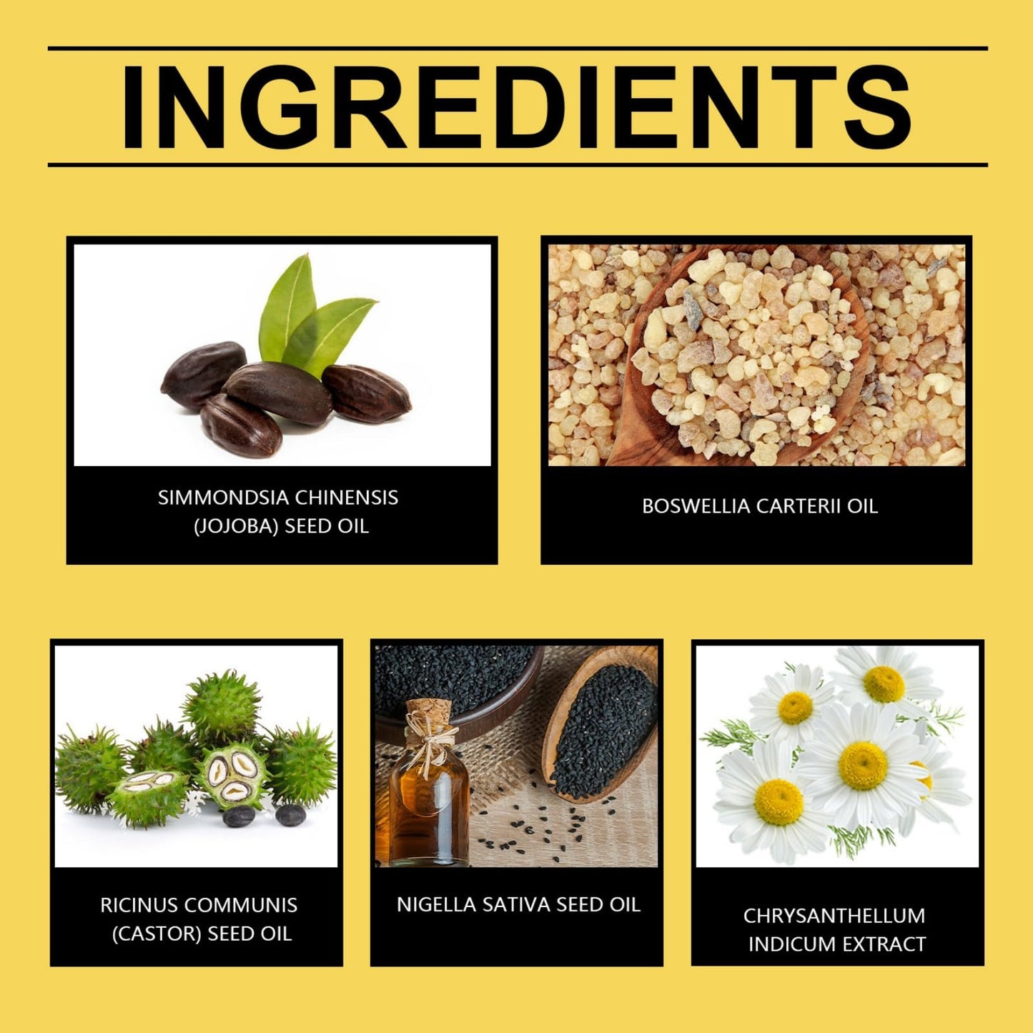 Frankincense Resin Oil for Face,Frankincense Essential Oil,Cold Pressed Serum Anti-Aging & Wrinkle,Frankincense Oil for Skin Organic,Facial Oil,Natural Frankincense Oil for Skin Care,Serum Face