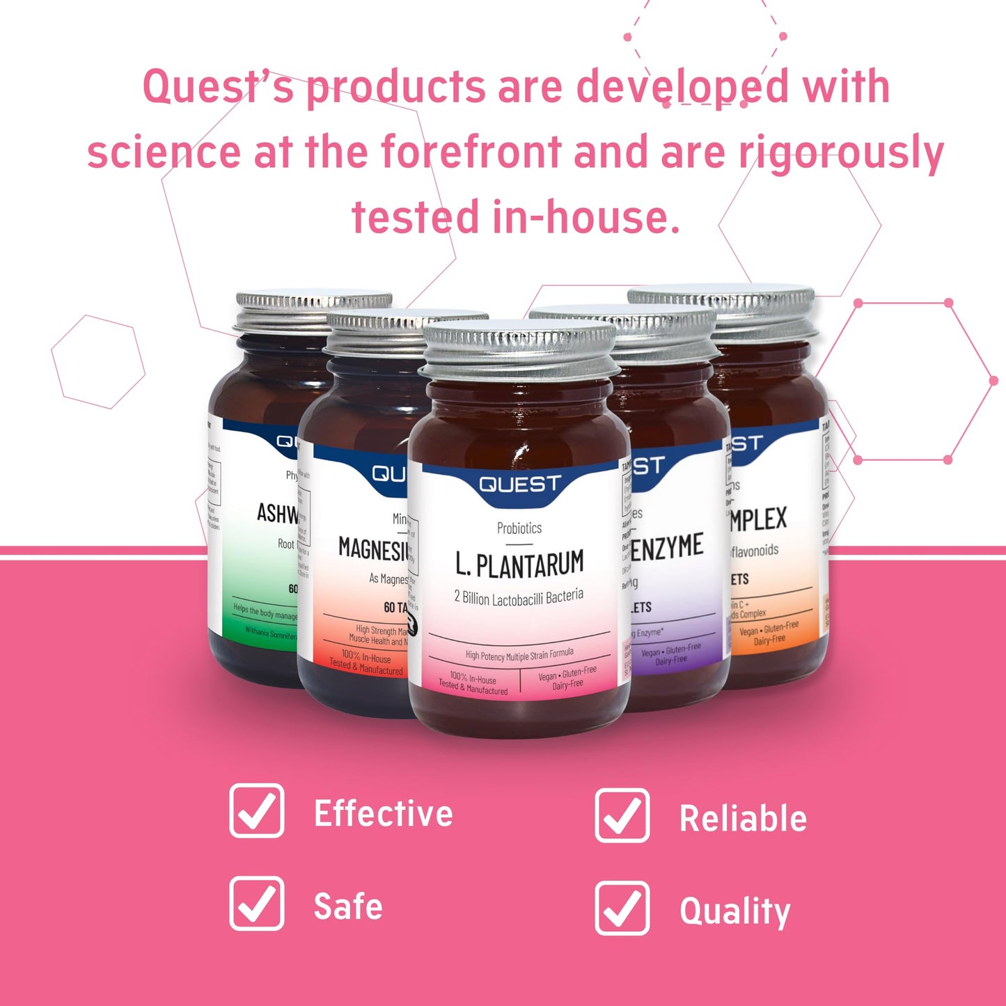 Quest L Plantarum Probiotic Capsules 2 Billion CFU for Immune & Digestive Support. Helps Restore Gut Friendly Bacteria & Regulate Immune Responses. Vegan & Gluten Free (45 Capsules)