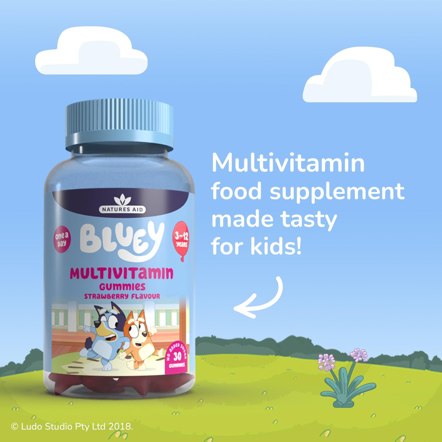 Natures Aid Bluey Kids Multivitamin Gummies - 14 Essential Vitamins & Minerals to Support Growing Bodies, Immunity & Tiredness - Strawberry, No Added Sugar, Vegan, Gluten Free - 30 Gummys for Children Ages 3-12