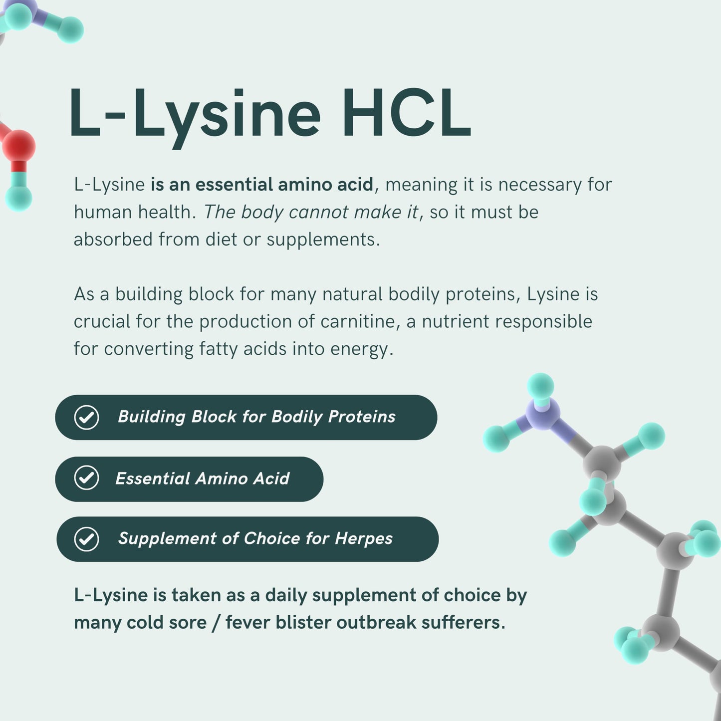 Dr. Sosnowski's L-Lysine & Propolis Supplements | High Potency L Lysine Immune Support Formula with 5:1 Propolis Extract, Quercetin, VIT C, VIT E and Zinc