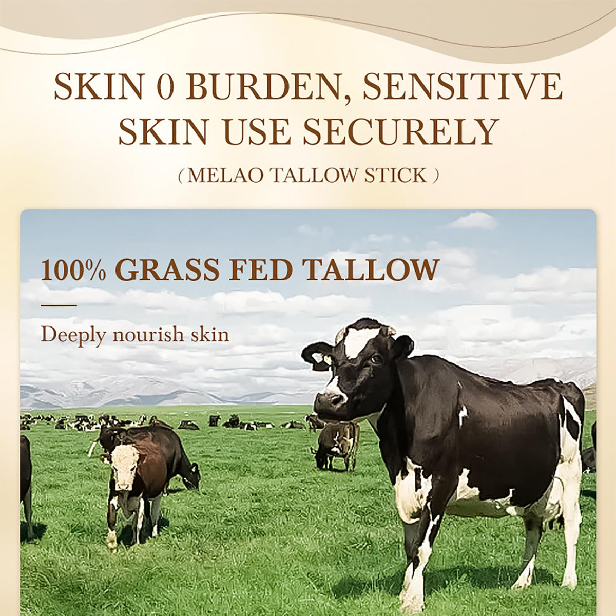 Generic Beef Tallow Balm Stick – Grass-Fed Tallow & Honey with Beeswax – Natural Moisturizing Skincare Balm for Face & Body (1pcs)