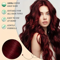 SingHao Polar Hair Dye Shampoo,Instant Herbal Coloring Shampoo,3 In 1 for Gray Hair Coverage,Hair Care Dye Shampoo,Natural Plant Hair Dye Shampoo,Semi Permanent Hair Dye,Red Brown Hair Dye,Foam Hair Dye(Red)