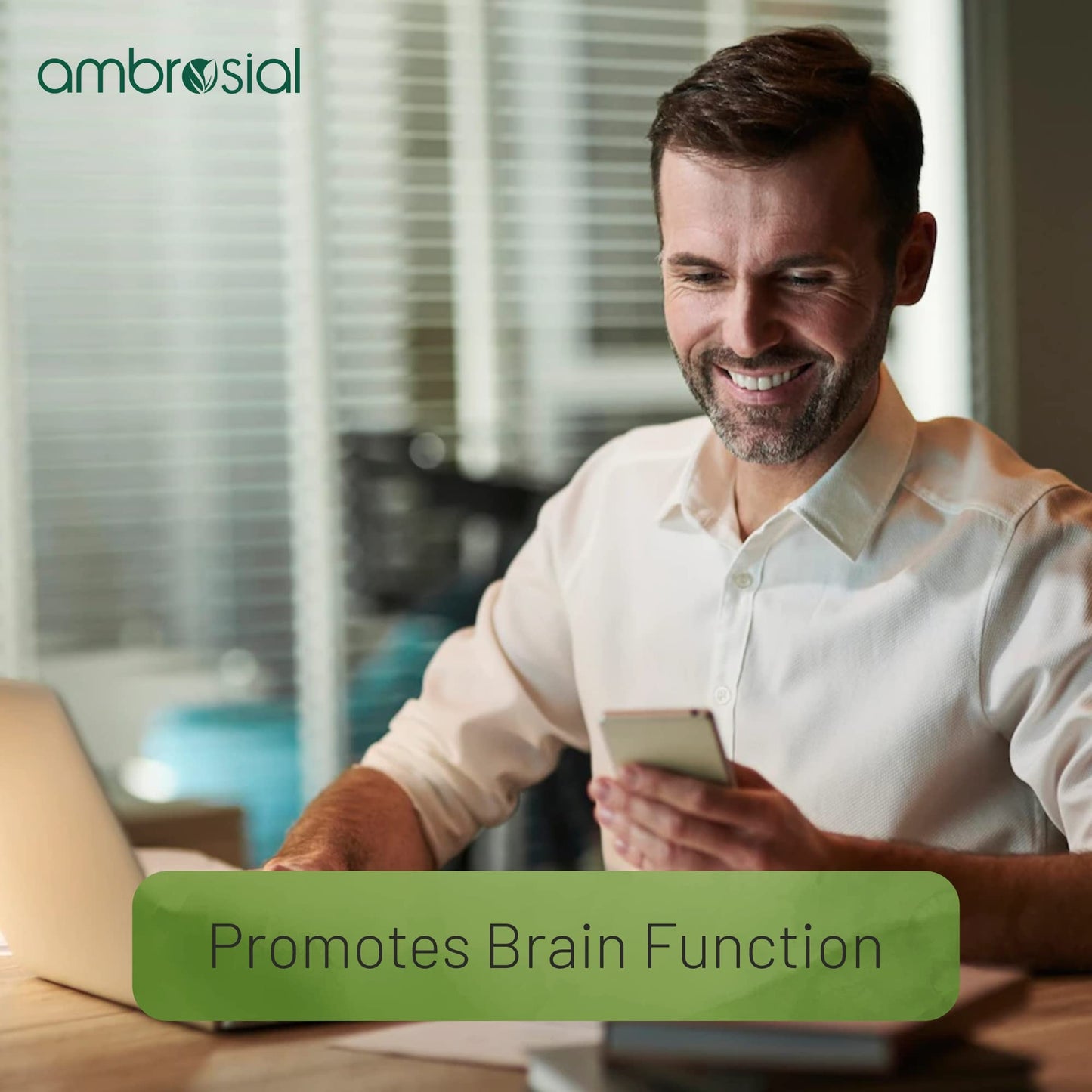 Ambrosial Brahmi Capsules 500 mg per Bacopa Monnieri Capsules | High Strength Nootropic | Nootropics Brain Supplements for Memory, Focus, Brain Booster & Mental Performance (Pack of 1-60 Capsules)
