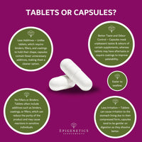Epigenetics Inulin Fibre Supplement from Chicory Root | 120 Capsules | Prebiotic Gut Health Supplements | Increase Fibre Intake & Support Digestion | Vegan Friendly UK Made | 1 Capsule Daily 4 Months Supply
