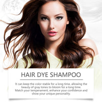 SingHao Polar Hair Dye Shampoo,3 in 1 Sha/mpoo for Color Treated Ha/ir,Nova Hai/r D/ye Sham/poo,Dark Brown Hai/r Dy/e Permanent,H/air D/ye Care,Ha/ir Care Instant Dy/e Shamp/oo,H/air Color Sh/ampoo#Dark Brown