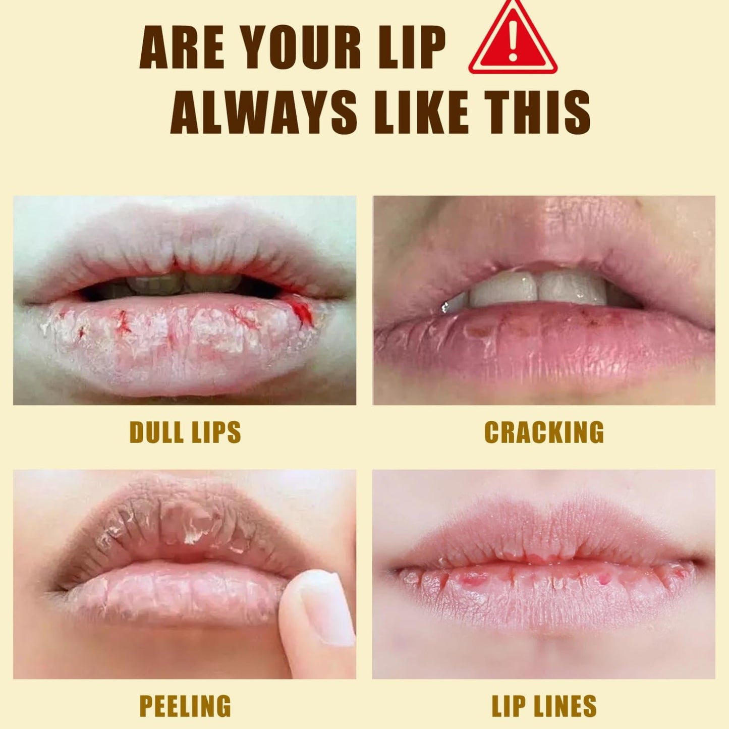 Xunzhi Beef Tallow Lip Balm,5g Tallow Lip Balm,Beef T/allow Balms Stick,Moisturizing L/ip Care,Long Lasting Lipstick,L/ip Plumper for Dry Cracked Lips,Li/p Moisturiser,Ta/llow Li/p Gloss,Lips Repair