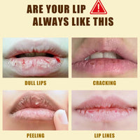 Xunzhi Beef Tallow Lip Balm,5g Tallow Lip Balm,Beef T/allow Balms Stick,Moisturizing L/ip Care,Long Lasting Lipstick,L/ip Plumper for Dry Cracked Lips,Li/p Moisturiser,Ta/llow Li/p Gloss,Lips Repair