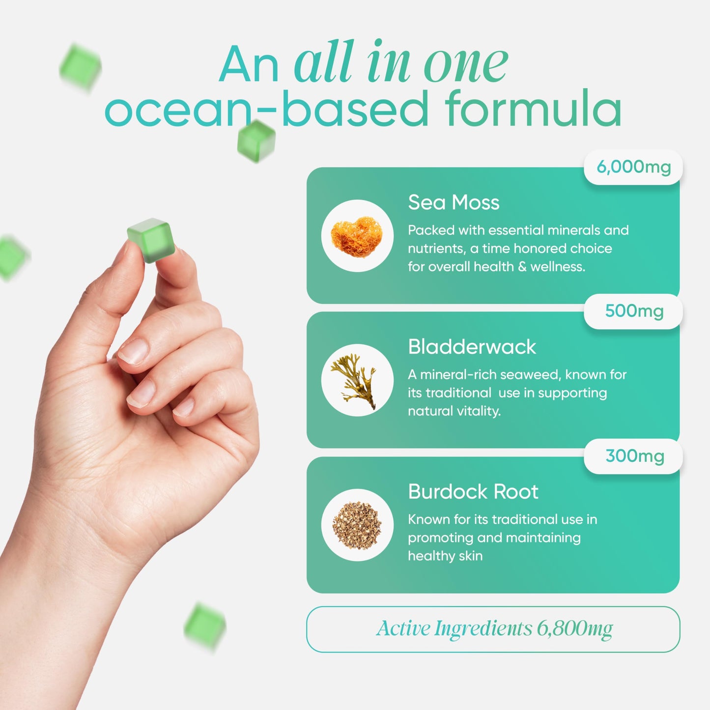 Revigr, Max 6000mg, 90 Sea Moss Gummies, Added 500mg Bladderwrack & 300mg Burdock Root, Immune & Gut Support, Vegan & Sugar-Free, Green Apple Flavour (1 Month Supply)