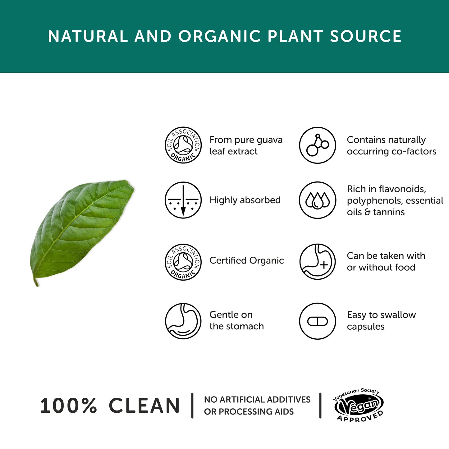 Organic Zinc supplement - Together Health - Natural Source of Zinc from Guava Leaves - Vegan - Made In The UK - 30 Vegecaps