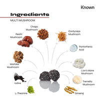 Mushroom Complex Gummies Lion's Mane and 5 Mushroom Blends (Reishi, Maitake, Cordyceps, Chaga & Tremella) Added Pantothenic Acid & Iodine - Blackcurrant-Flavoured Multi Mushroom Complex Vegan Gummies