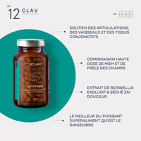 N°12 ANTIFLAMM - Anti-inflammatory & Joint Health with Boswellia Serrata Horsetail MSM Capsules High Dose - with Gotu Kola & Ginger Extract - 120 Capsules