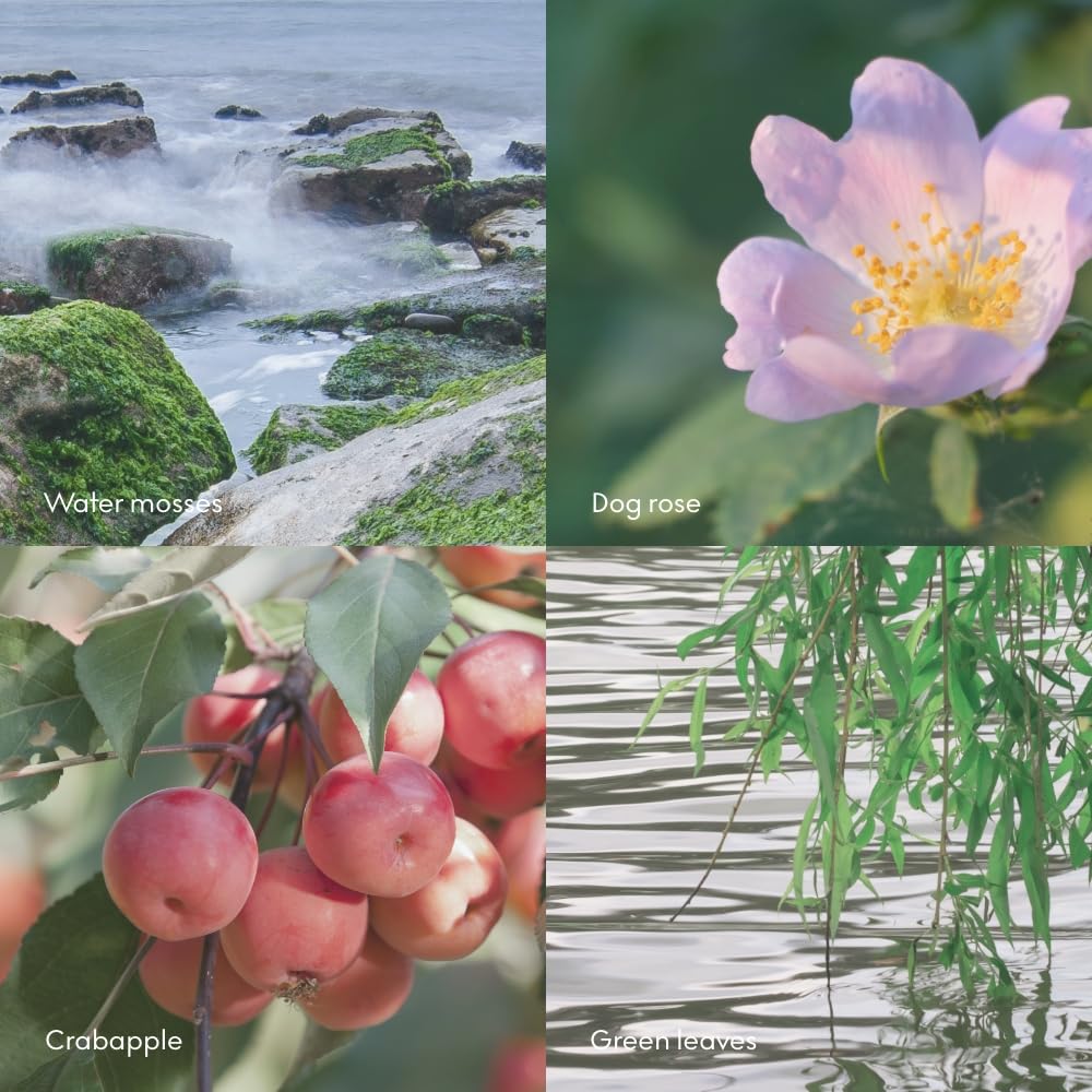 Skandinavisk ØY ‘Island’ Hand Cream, Scent Notes: Crabapple and Dog Rose, Water Mosses and Green Leaves. Vegan Forumla, 75 ml