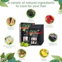 NATUREGURU Black Hair Shampoo Instant Black Natural Ingredients Hair Dye Shampoo Semi-Permanent Black Hair Color Easy to use Long lasting