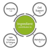 SynBio Premium+ - Recovery - Illness + Injury Support | 60 Vegan Capsules | Boost Your Immunity Recovery Time with a Comprehensive Formula | Free from Gelatine, Gluten, Nut/Peanut