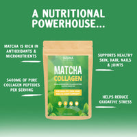 OZUNA NUTRITION Matcha Collagen Powder with L-Theanine & Natural Caffeine | Gluten & Dairy Free | Matcha Green Tea with Collagen Peptides, 200g