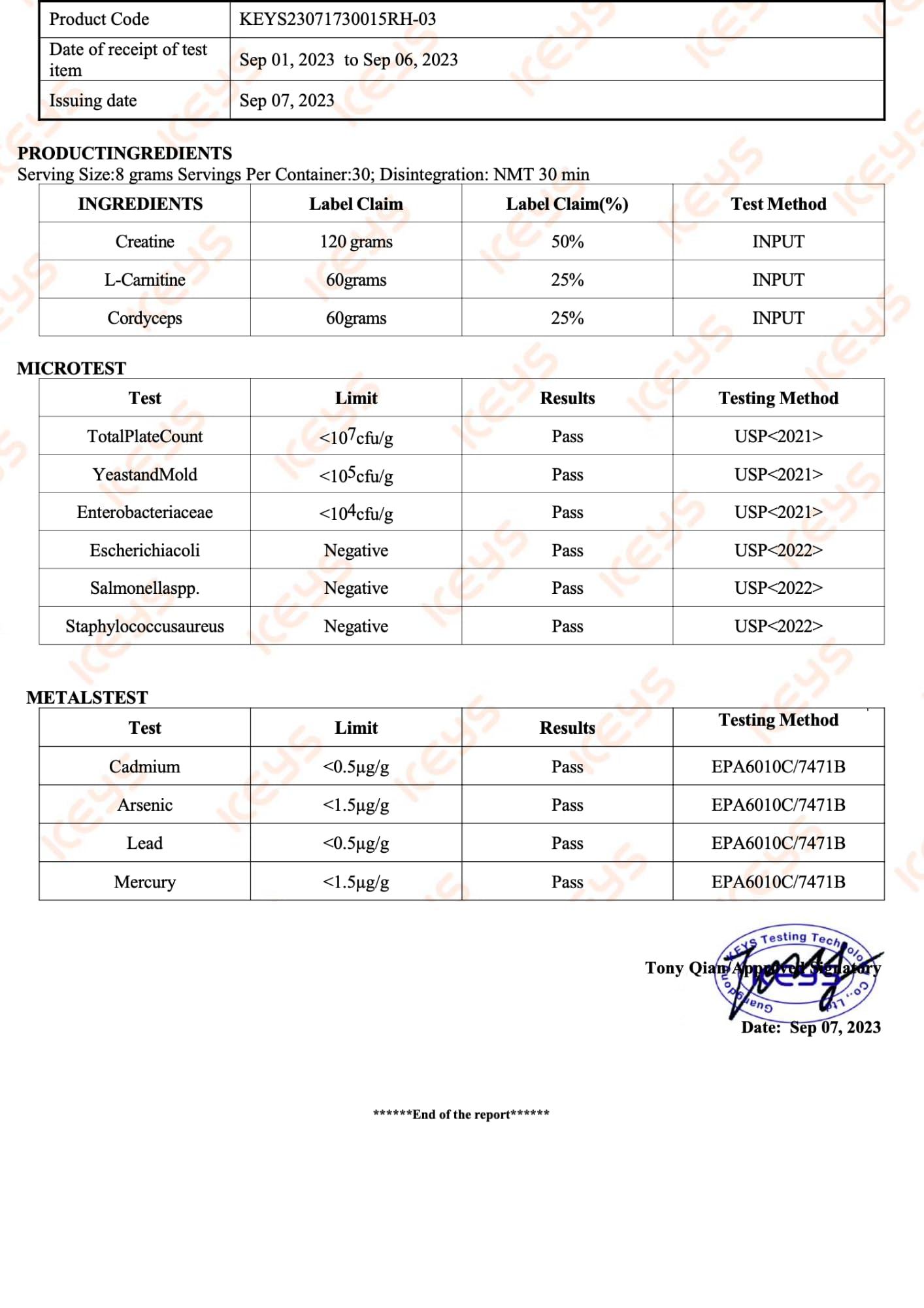 PROFUEL Creatine, L-Carnitine & Cordyceps Powder - 240g - Increase Strength & Performance - Gym Supplement for Men & Women