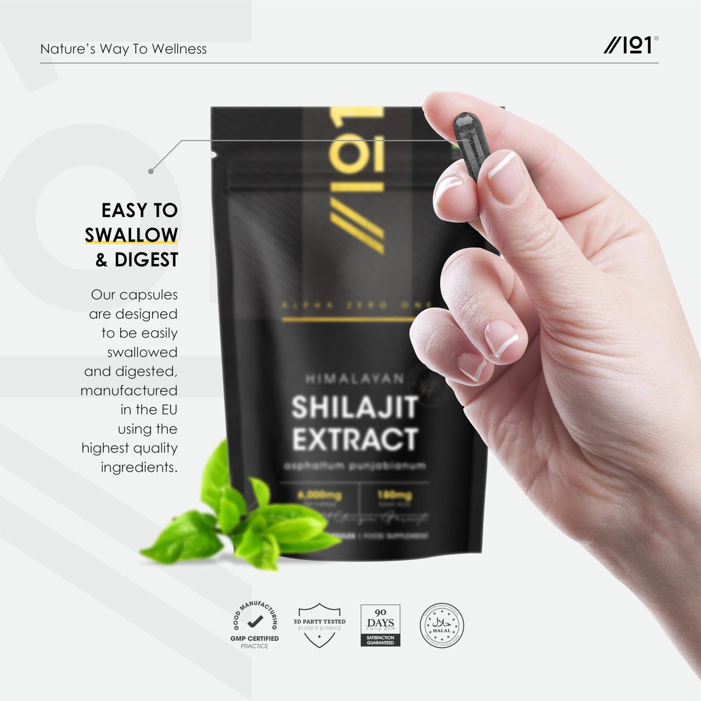 ALPHA01 Shilajit Extract 6000mg - 60% Fulvic Acid (180mg) - 90 Vegan Capsules - Himilayan Shilajit Resin (3 Months Supply) - Resealable and Recyclable Pouch - by Alpha01