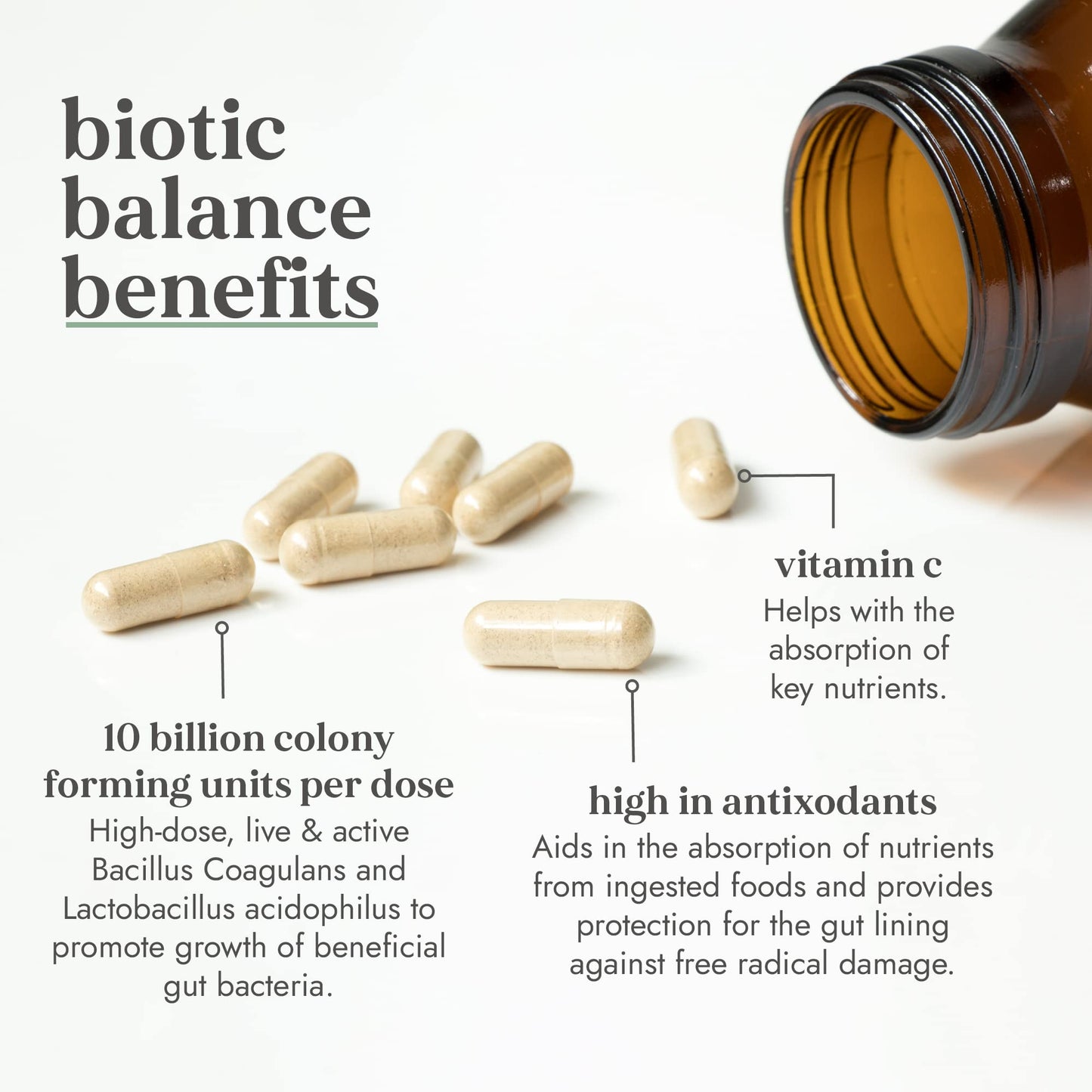 Fushi Biotic Vegan Balance 10 bn cfu Capsules, 90 Caps |Rich in Multi-Strain & Vitamin C | Contains FOS | for Vegetarians & Vegans | Made in The UK