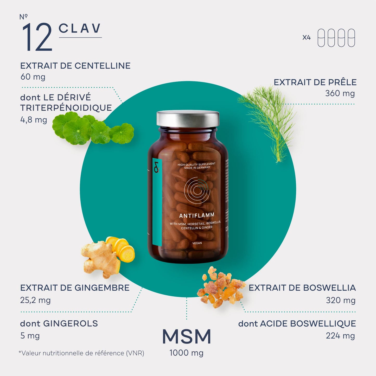 N°12 ANTIFLAMM - Anti-inflammatory & Joint Health with Boswellia Serrata Horsetail MSM Capsules High Dose - with Gotu Kola & Ginger Extract - 120 Capsules