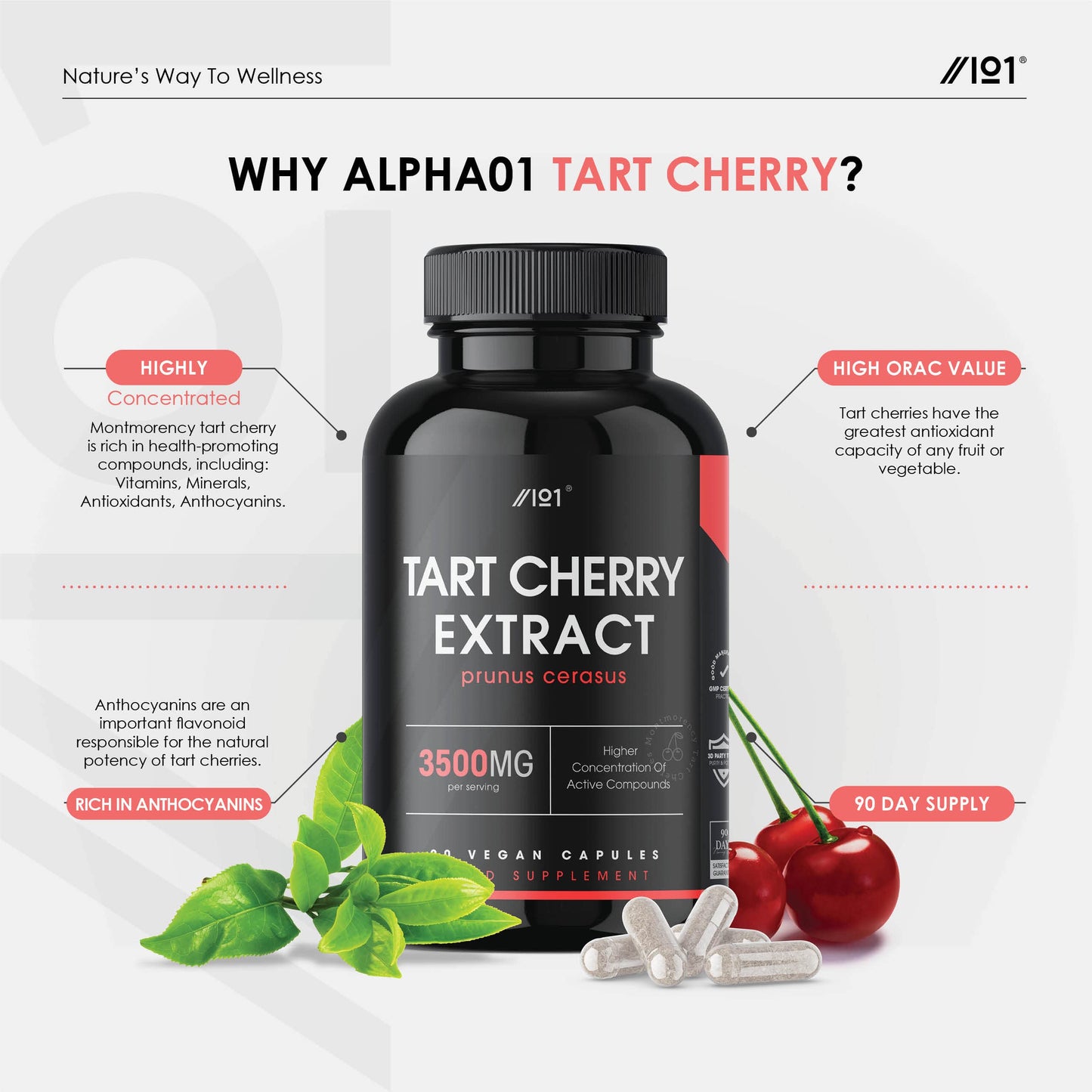 Montmorency Cherry 3500mg - High Strength Tart Cherry Extract - Antioxidant Rich - Non-GMO, Gluten Free Supplement - No Artificial Preservatives 90 Capsules