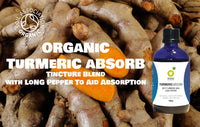 Organic Herbal Remedies 100 ml Turmeric Tincture