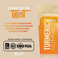 WELLSET Turmeric & Ginger Gummies 1490mg - 60 Gummies | Supports Healthy Joints & Digestion | 1 Month Supply | for Men and Women