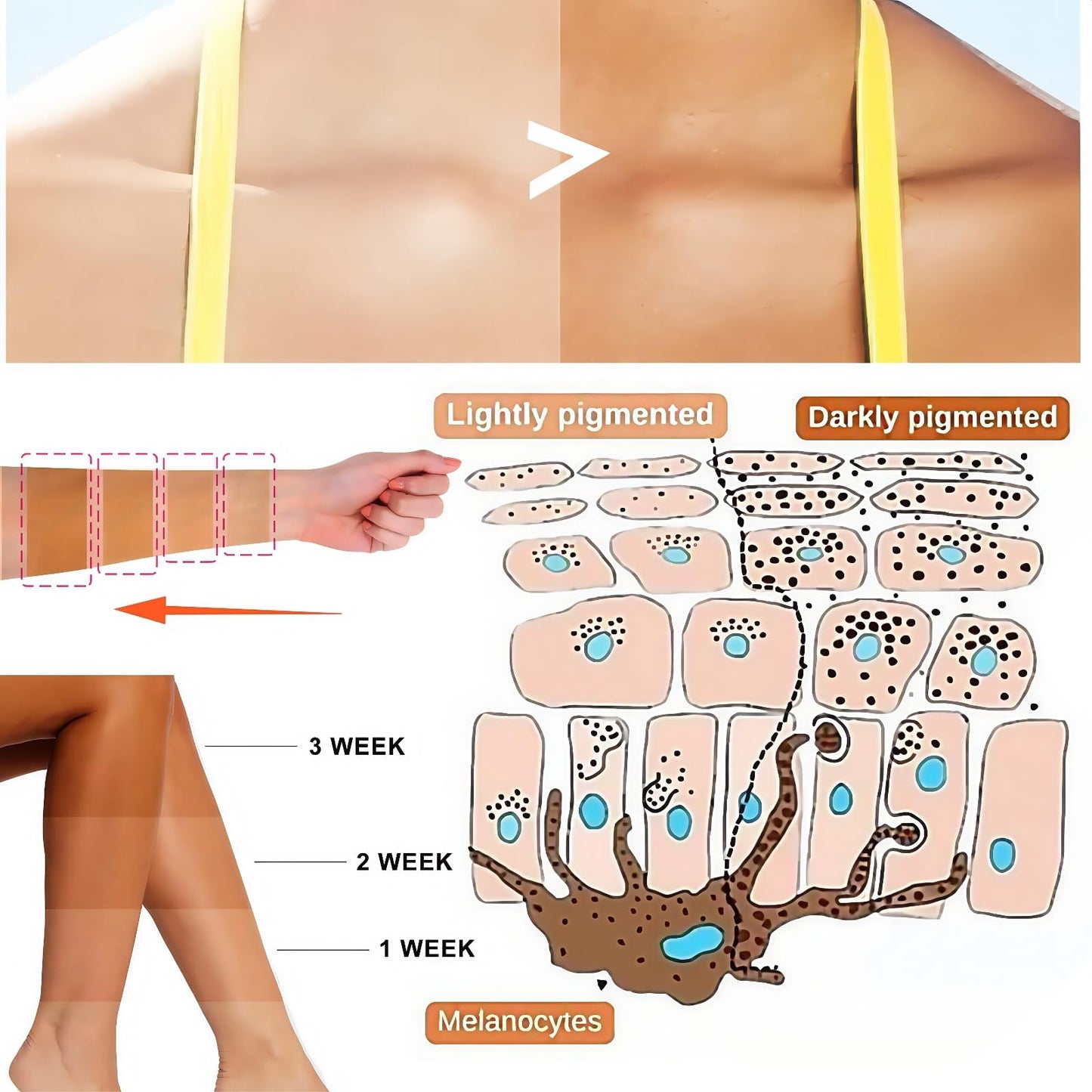 OuXing Sunless Tanning Drops,Enhances Natural Skin Tone Tanning Drops,Body Lotion for Self T/an,Bronzing D/rops,Herbal T/anning Moisturiser,Self Ta/nners Liquid D/rop,Gradual Tan Self Ta/nning Dr/op
