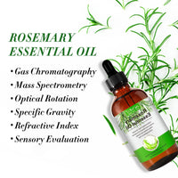 Rosemary Oil for Hair Growth & Skin Care 120 ML, Hair Loss and Hair Regrowth Treatment, Stimulates Hair Growth, Improves Blood Circulation for Men and Women 4.04 Oz