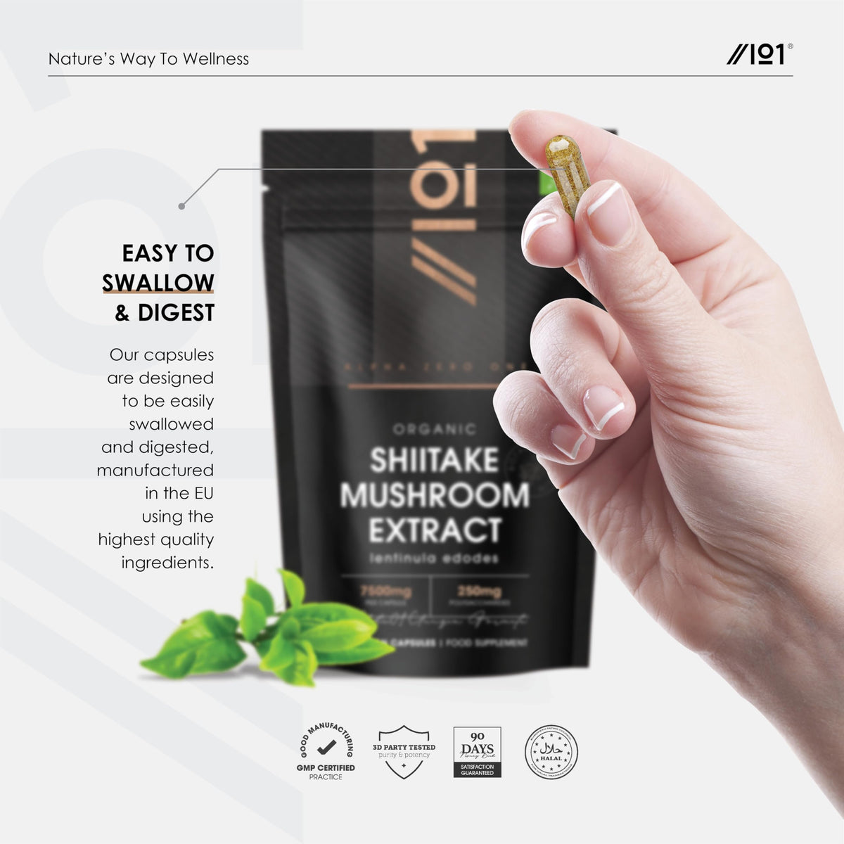 ALPHA01 Organic Shiitake Mushroom 7500mg – 50% Polysaccharides Extract Mushroom Supplement – 90 Vegan Capsules (3 Months Supply) – Resealable and Recyclable Pouch – by Alpha01