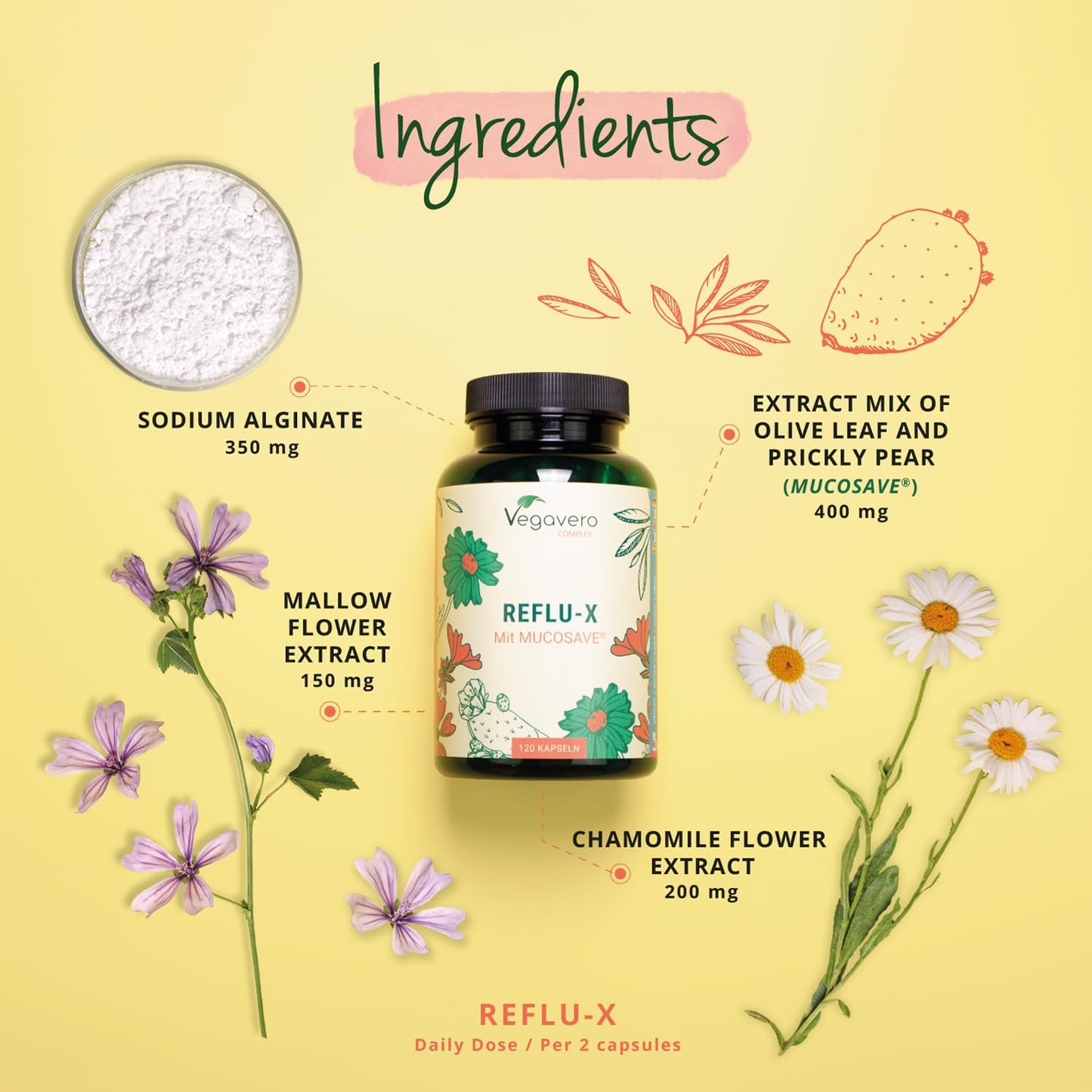 Vegavero Reflu-X Complex | Natural Antacid | Stomach Capsules for Reflux and Gastritis | with Mucosave®, Olive Leaf Extract, Sodium Alginate, Chamomile | NO Additives | 120 Capsules | Vegan