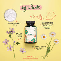 Vegavero Reflu-X Complex | Natural Antacid | Stomach Capsules for Reflux and Gastritis | with Mucosave®, Olive Leaf Extract, Sodium Alginate, Chamomile | NO Additives | 120 Capsules | Vegan