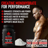 Creatine Monohydrate Powder by Stronglife - 250 grams, 50 Servings at 5 grams, Micronised, Pure 200 Mesh, Unflavoured - Enhances Muscle Performance Power & Recovery (250 Grams)