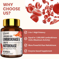 Veenuule Lumbrokinase Supplement 100mg │ Maximum Activity - 1,000,000 LKU │ Lumbrokinase Capsules with Nattokinase 100mg 2000 FU for Blood Circulation and Cardiovascular Health, 60 Capsules