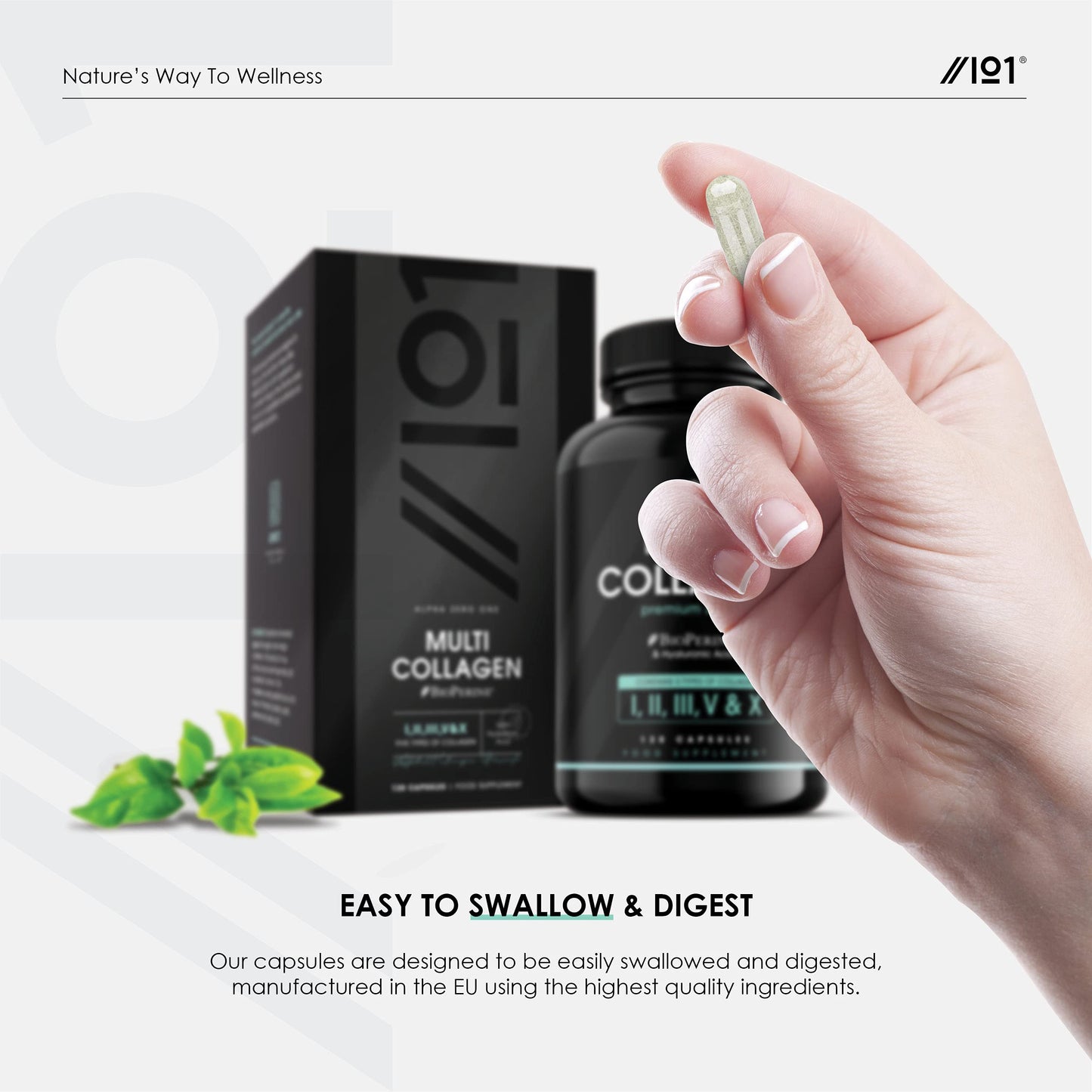 Multi Collagen Capsules - 240 Capsules - Types I, II, III, V & X - Wild Caught Fish, Grass Fed Bovine, Eggshell & Free-Range Chicken, Hyaluronic Acid & Vitamin C (4 Months Supply) by Alpha01