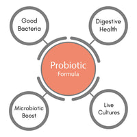 SynBio Premium+ - Probiotic - Digestive Balance | 60 Capsules | Vegetarian Certified | Microcultures | Micro Flora for Healthy Gut & Digestion | Probiotic for Men & Women | Made in The UK
