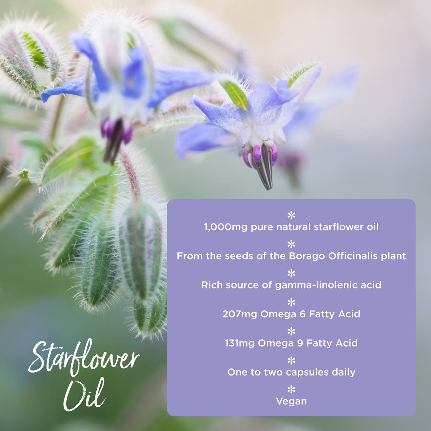 Starflower Oil 1,000mg (90 Capsules) | Healthspan | Richest Source of Gamma-Linolenic Acid (GLA) | Women's Health | 207mg GLA & 131mg Omega 9 Fatty Acids Per Capsule | Vegan