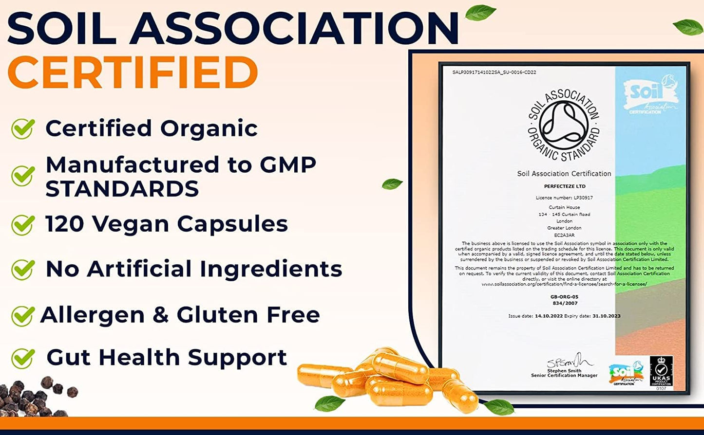 Organic Turmeric Curcumin High Strength and Organic Black Pepper 120 Veg Capsules Advanced Turmeric with Active Ingredient Curcumin Organic Vegan 120 Capsules