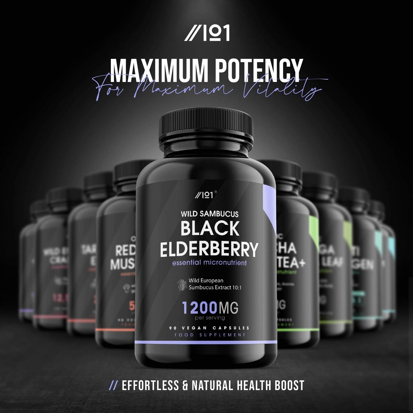 ALPHA01 Black Elderberry Extract Capsules - 1200mg - Wild European Sambucus Extract 10:1 for Immunity - Vegan, Non-GMO, Kosher, Gluten Free. 90 Vegan Capsules.