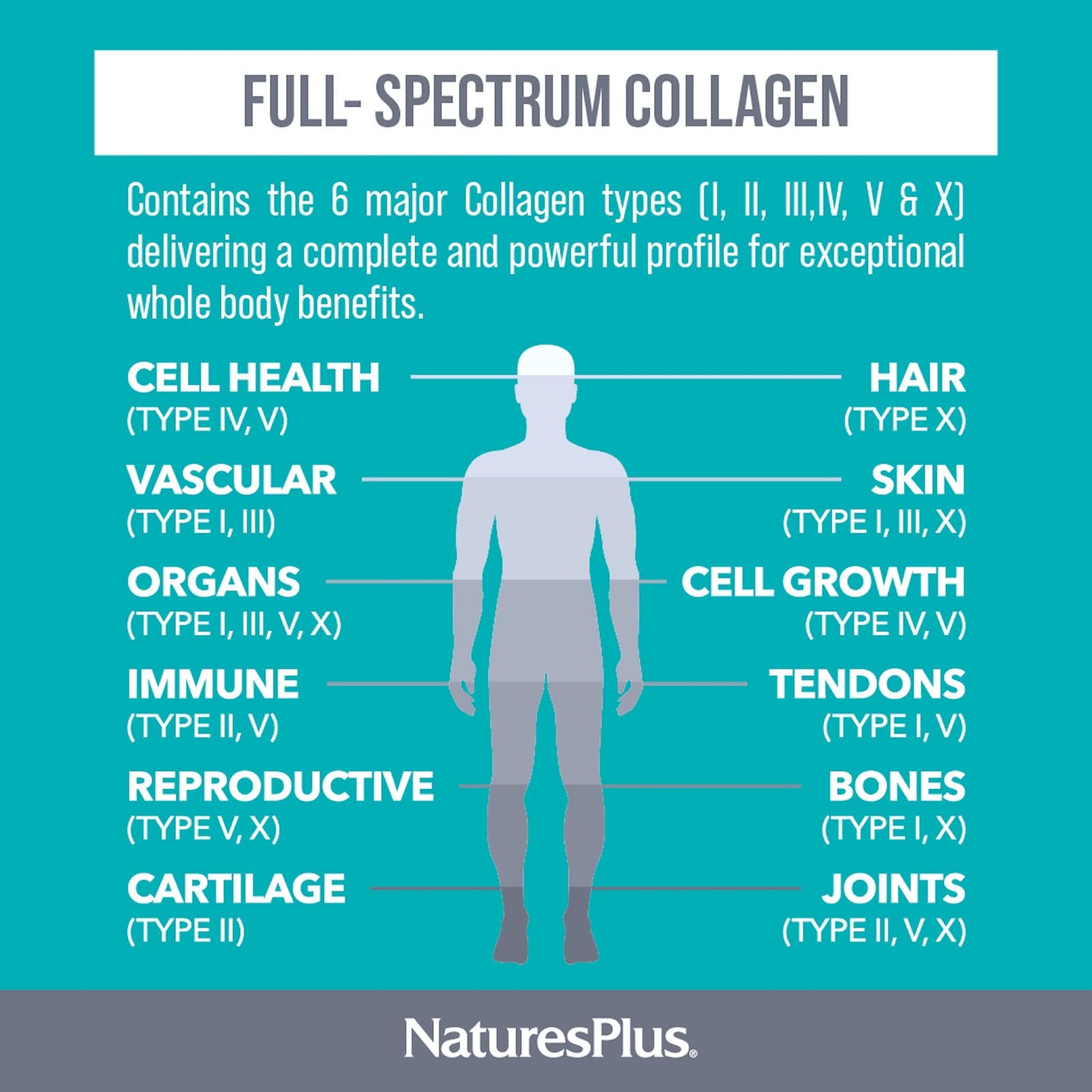 Nature's Plus NaturesPlus Collagen Peptides Capsules - Sustainable Hydrolysed Collagen Supplement, 6 Major Types of Collagen - Non-GMO, Gluten Free - 120 Capsules